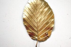 L'atelier du mercredi _ avec des feuilles et de l'or • Plumetis Magazine.jpeg