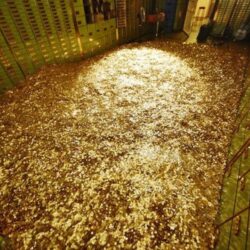 Se _baigner_ dans des millions de pièces comme l'oncle Picsou, c'est possible en Suisse