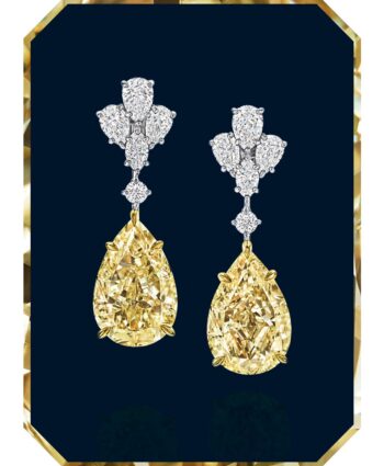 Two of a Kind _ #HarryWinston
