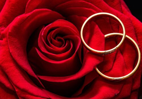 wedding-rings-2284153_1280